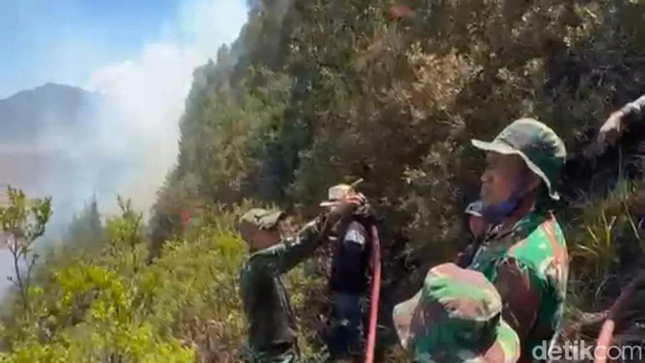 172 Pendaki Gunung Semeru Dievakuasi Akibat Kebakaran Hutan