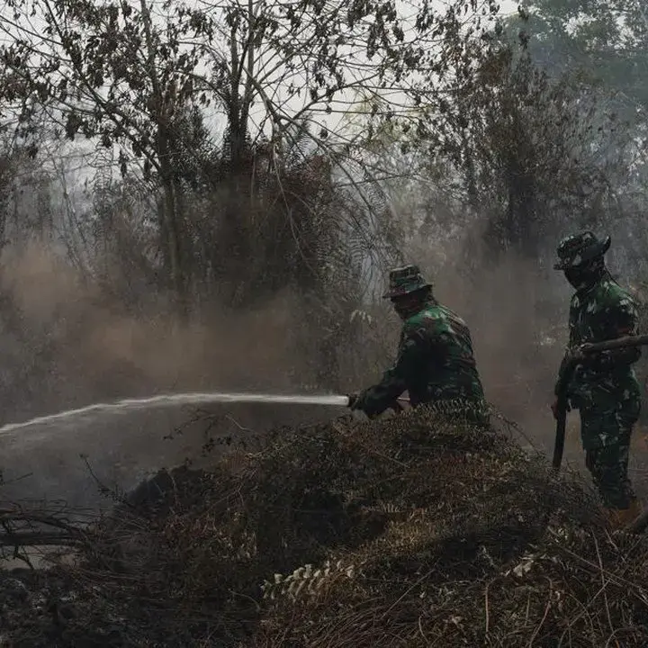 BMKG: Pergerakan Angin Jadi Kunci Asap Karhutla Kalimantan Melintasi Batas Negara