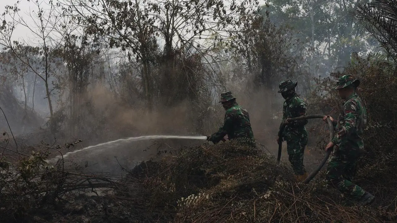 BMKG: Pergerakan Angin Jadi Kunci Asap Karhutla Kalimantan Melintasi Batas Negara