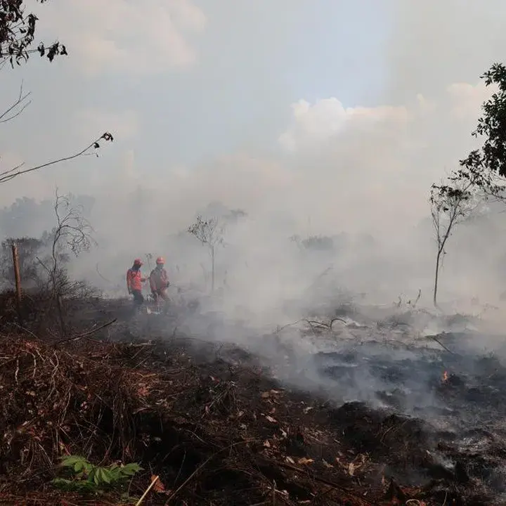 BNPB Imbau Negara Tetangga Hindari Saling Tuding soal Asap Karhutla Kalimantan