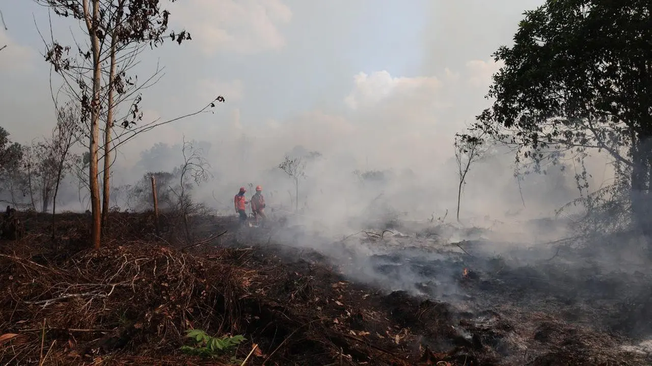BNPB Imbau Negara Tetangga Hindari Saling Tuding soal Asap Karhutla Kalimantan
