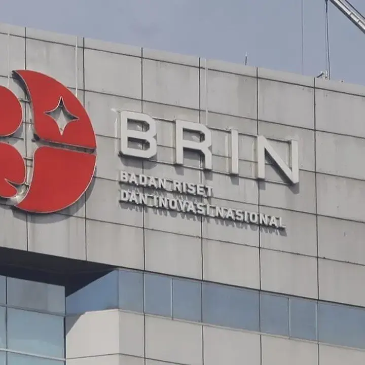 BRIN Ungkap Potensi Singkong Padamkan Karhutla, Ini Mekanismenya