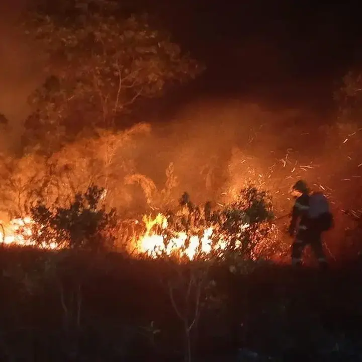 DPR Ingatkan Kepala Daerah Patuhi Larangan Karhutla Tanpa Pengecualian
