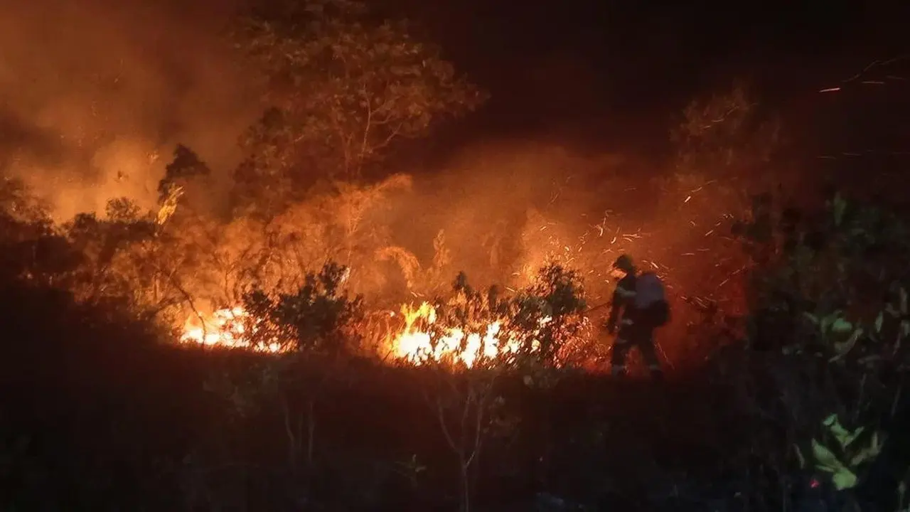 DPR Ingatkan Kepala Daerah Patuhi Larangan Karhutla Tanpa Pengecualian