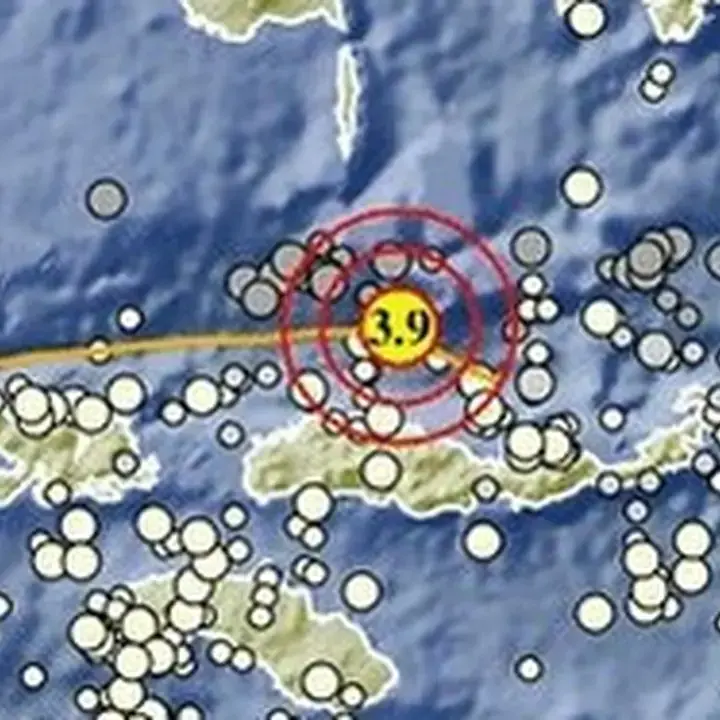 Gempa M 3,9 Guncang Laut Flores Dekat Ruteng, NTT