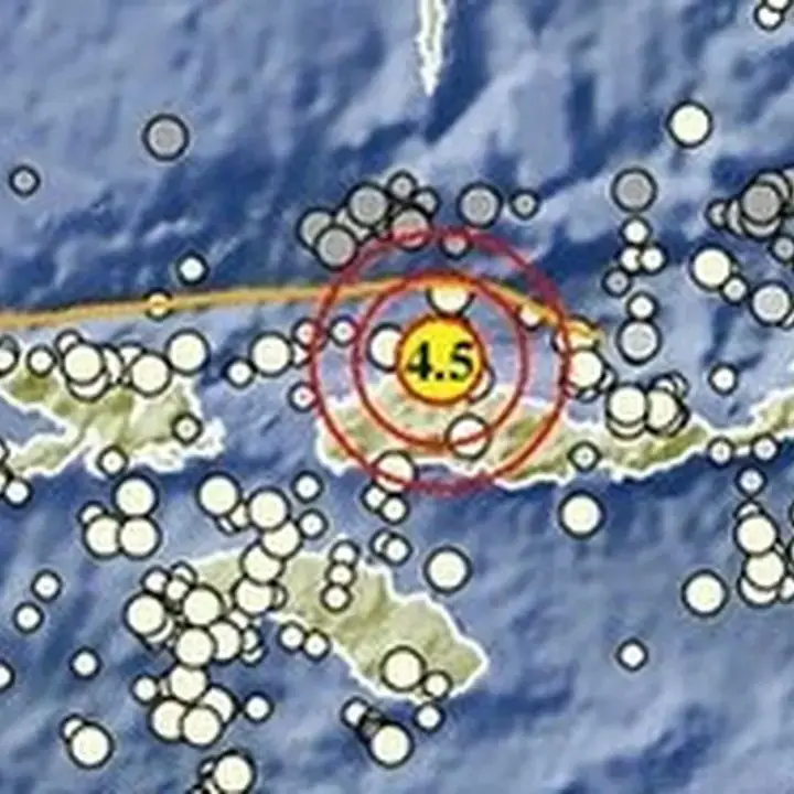 Gempa Magnitudo 4,5 Guncang 48 Km Timur Laut Ruteng, Manggarai NTT