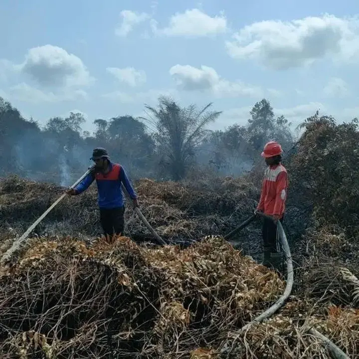 Karhutla Melanda, Kalbar Terparah dengan 38.000 Hektare Lahan Terbakar