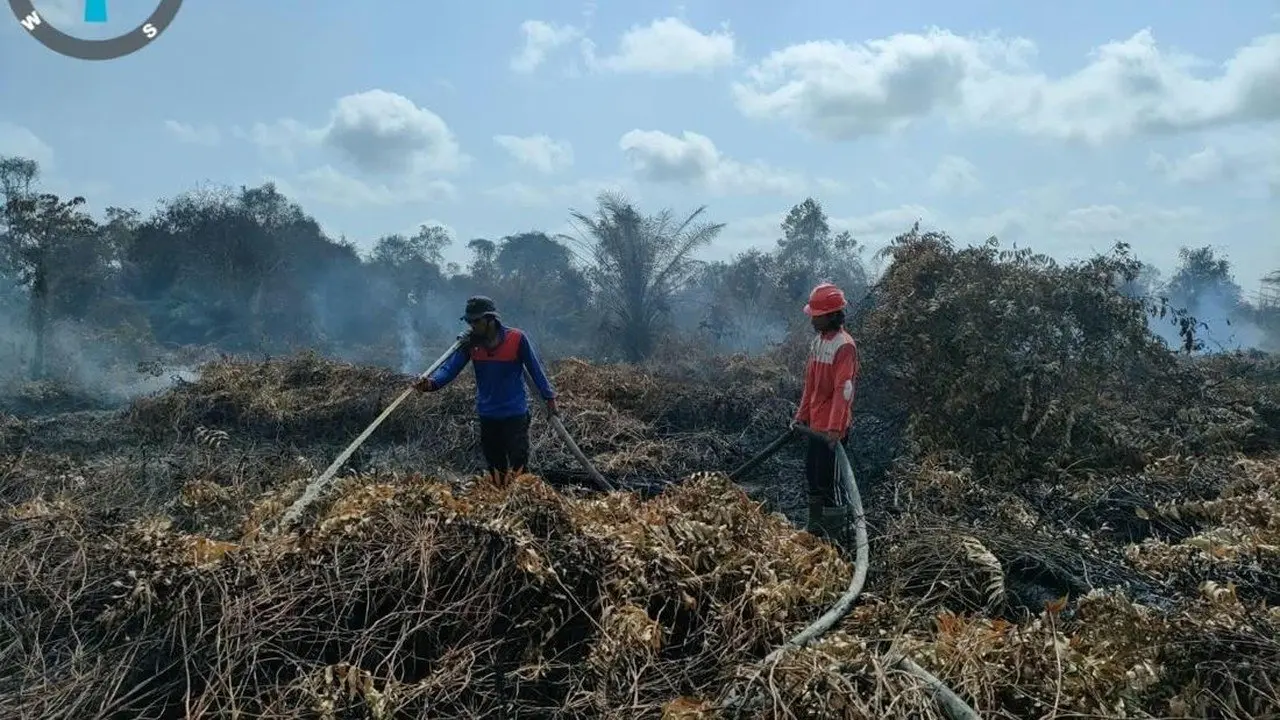 Karhutla Melanda, Kalbar Terparah dengan 38.000 Hektare Lahan Terbakar