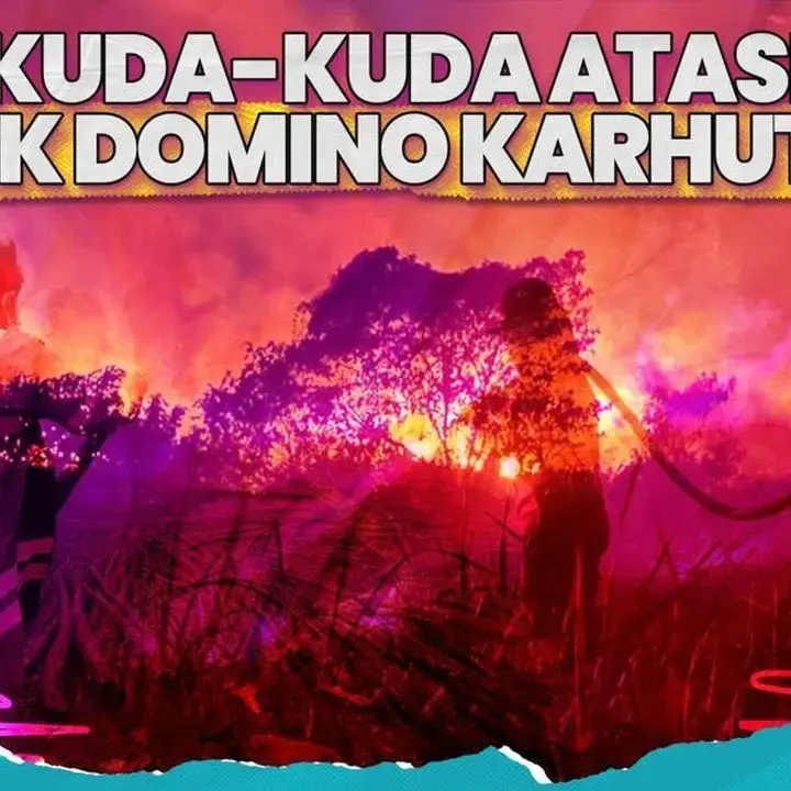 Karhutla Meluas, Pemerintah Kerahkan Ribuan Personel dan Armada Pemadaman