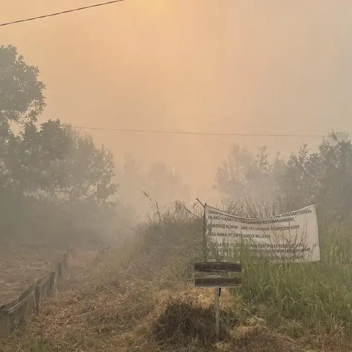 Kemenkes Perkuat Antisipasi ISPA Akibat Karhutla Kalimantan, Bangun Posko Bencana Asap