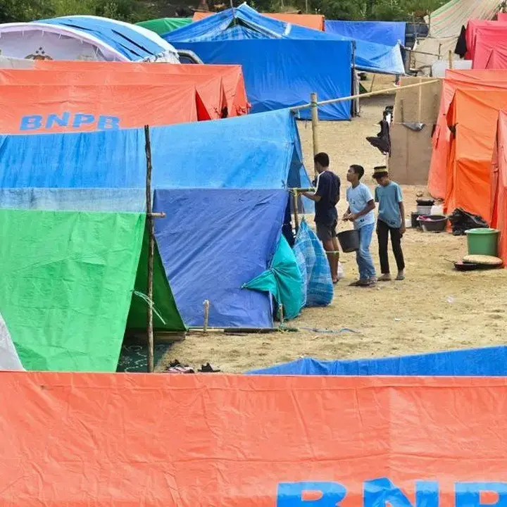 Korban Jiwa Gempa NTT Capai 91 Orang, BNPB Ungkap Penyebab Kematian