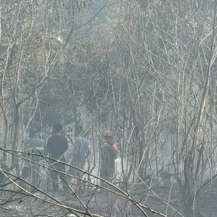 Modus Kebakaran Lahan Terbongkar: 72 Tersangka Pilih Bakar Demi Biaya Murah