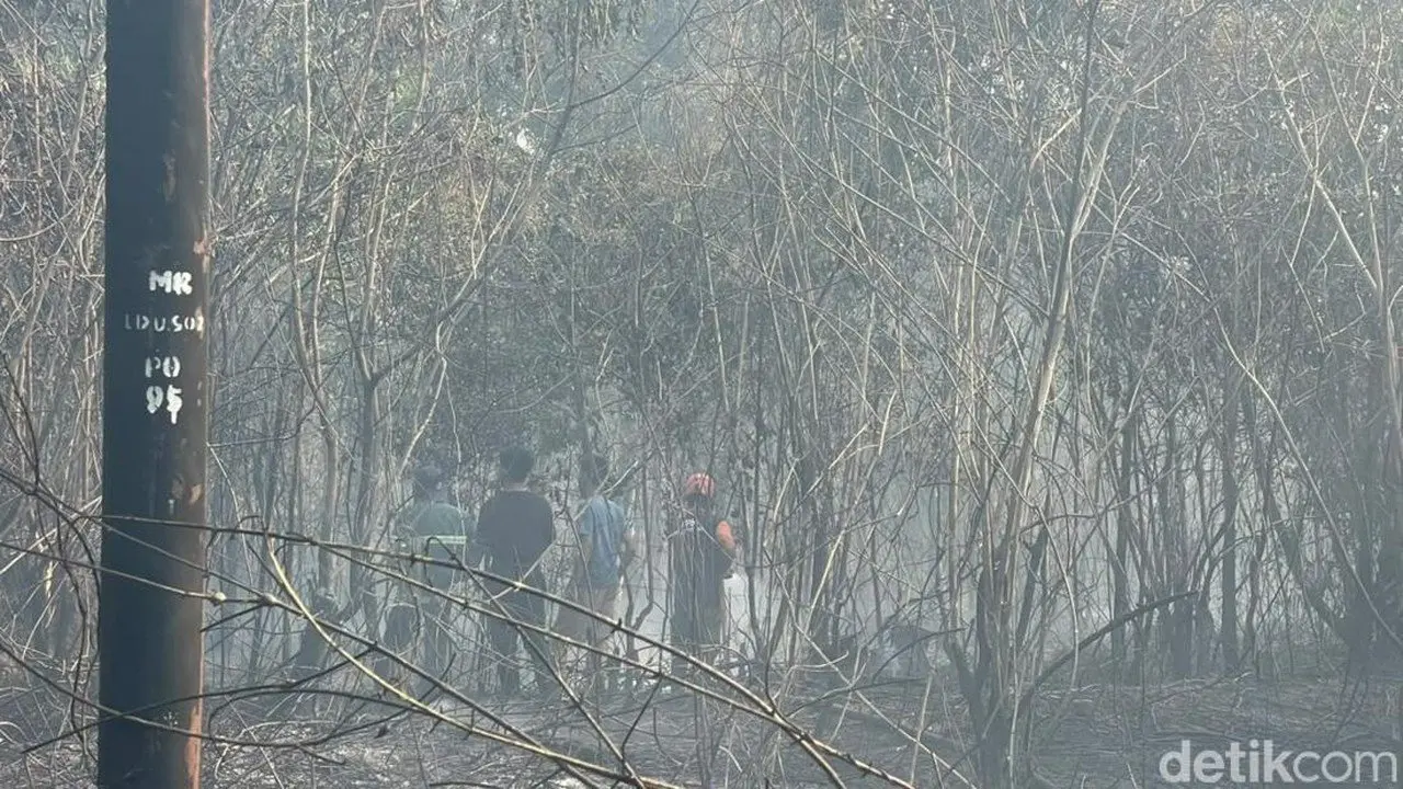 Modus Kebakaran Lahan Terbongkar: 72 Tersangka Pilih Bakar Demi Biaya Murah