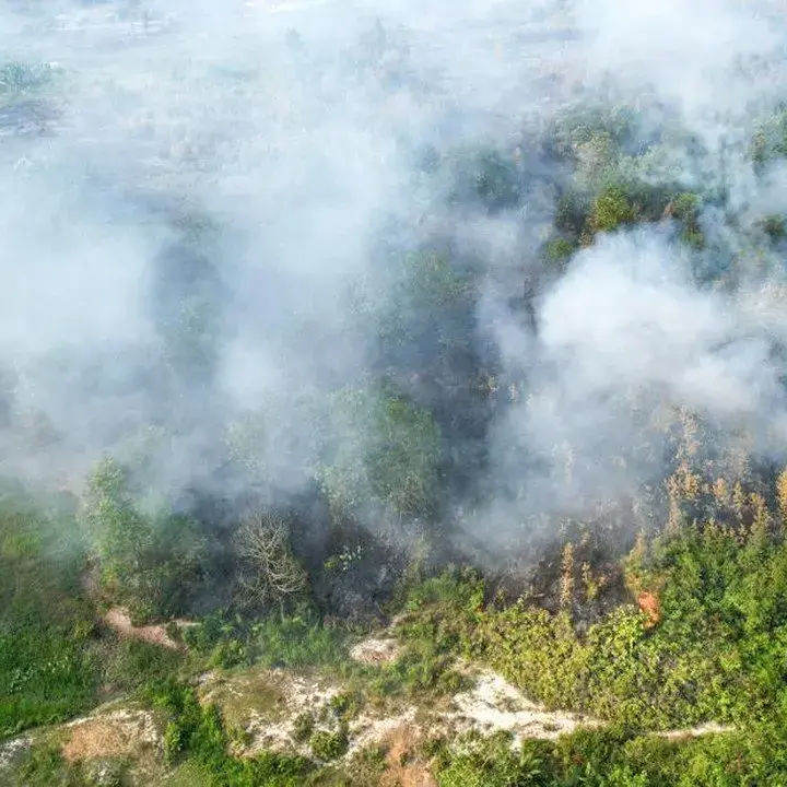 Pemerintah Perkuat Mitigasi Karhutla, Mendagri Instruksikan Larangan Pembakaran Lahan Tanpa Pengecualian