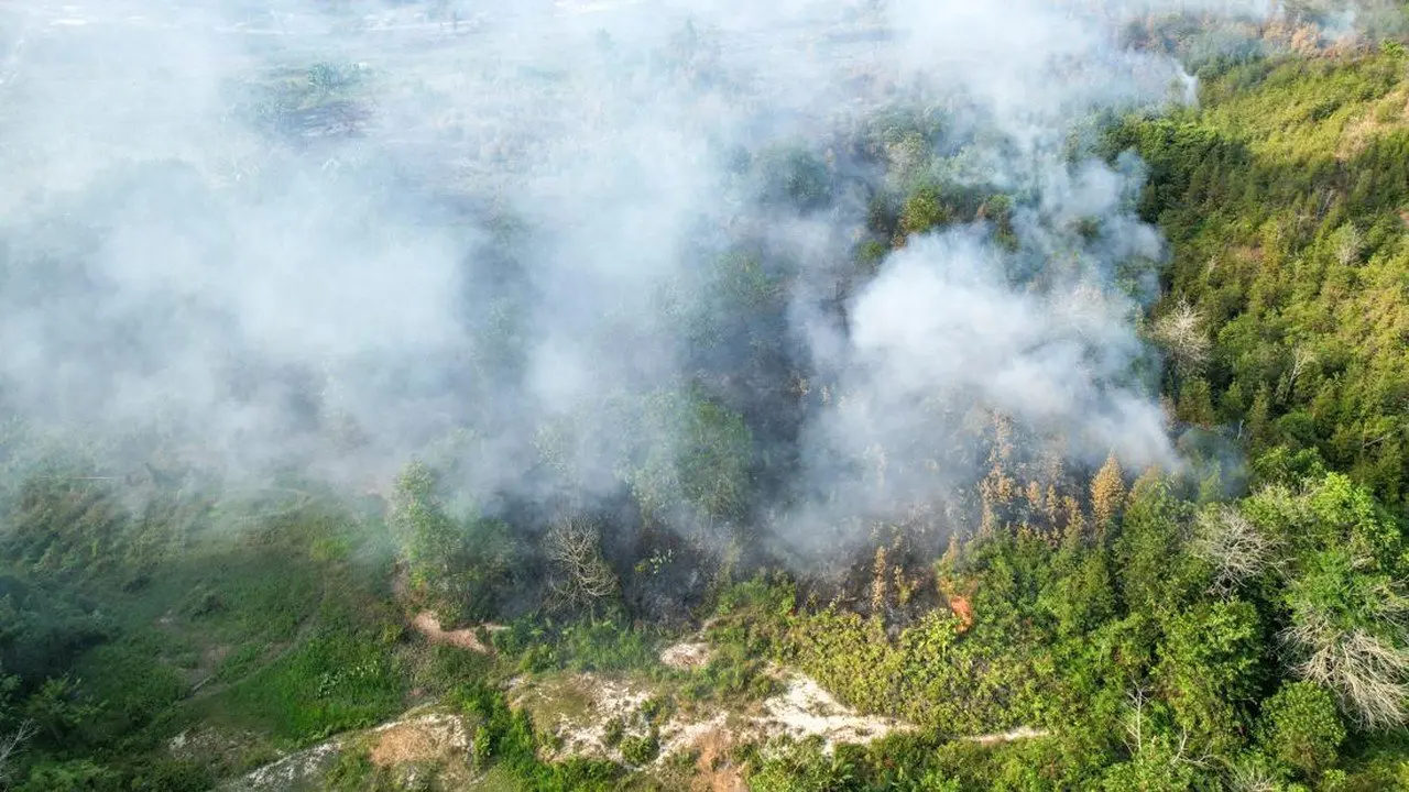 Pemerintah Perkuat Mitigasi Karhutla, Mendagri Instruksikan Larangan Pembakaran Lahan Tanpa Pengecualian