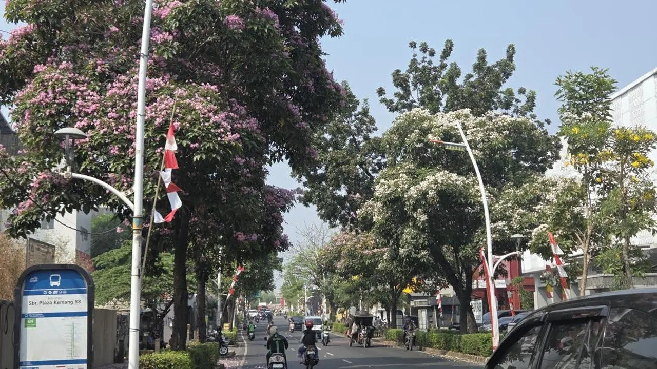 Pohon Tabebuya Mekar di Kemang, Warga Sebut Mirip Pemandangan Jepang
