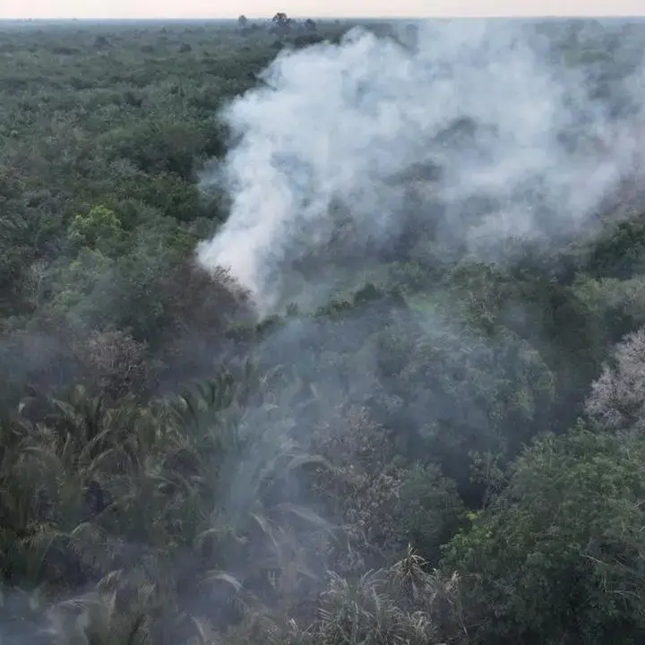 Polri Ungkap 72 Tersangka Karhutla di Kalimantan, Sumsel, dan Riau