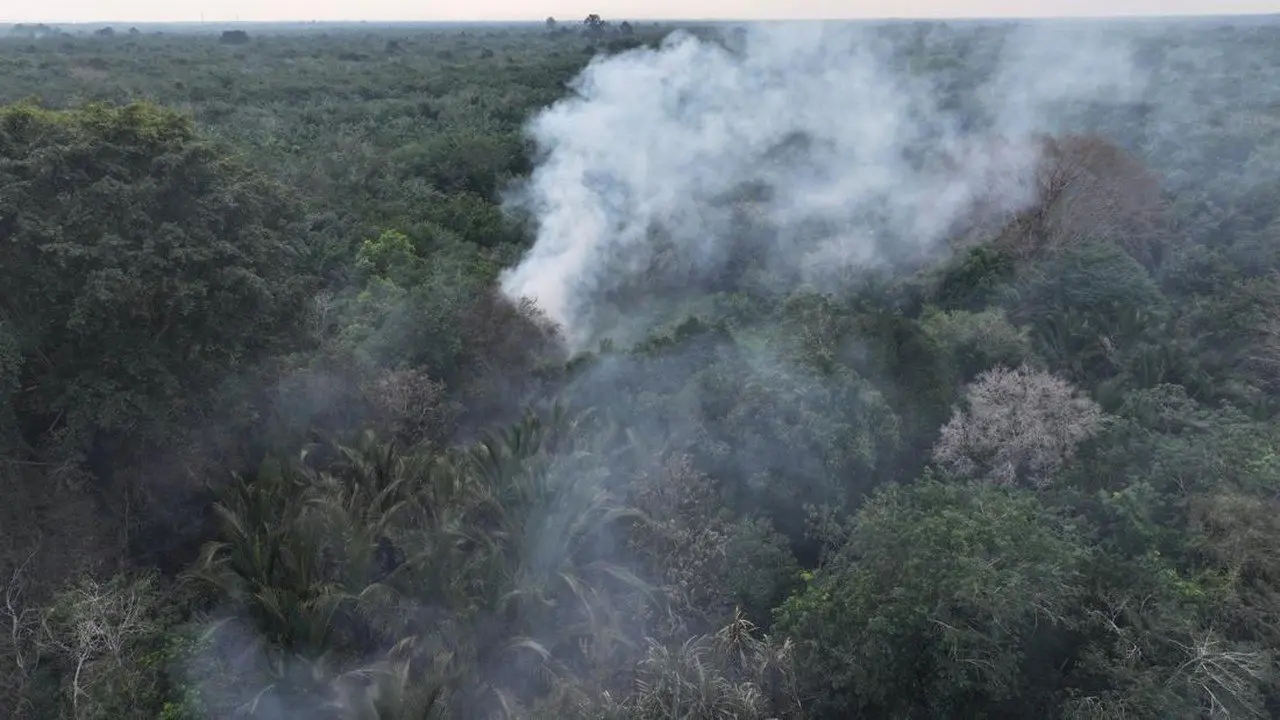 Polri Ungkap 72 Tersangka Karhutla di Kalimantan, Sumsel, dan Riau
