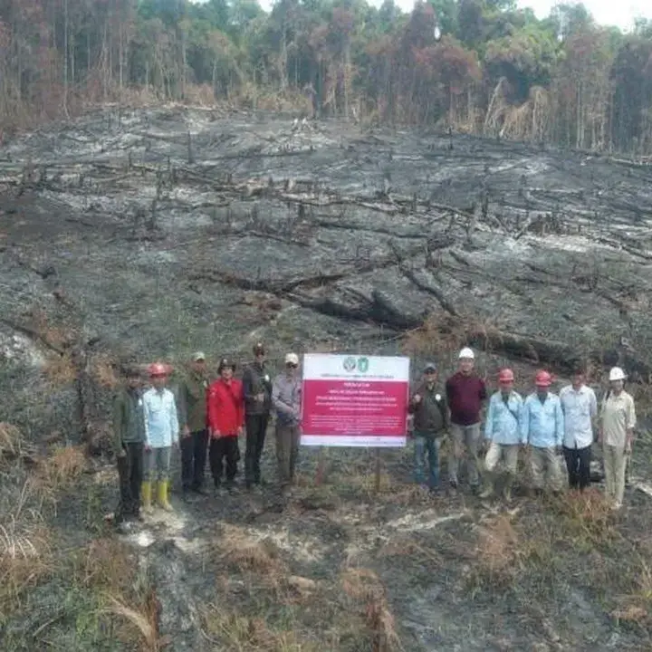 Sanksi Tegas untuk 6 Perusahaan Terkait Karhutla di Kalimantan