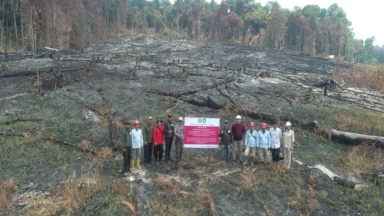 Sanksi Tegas untuk 6 Perusahaan Terkait Karhutla di Kalimantan