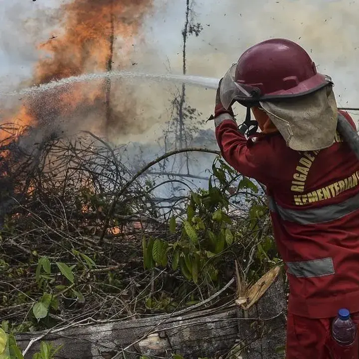Tantangan Padamkan Karhutla: Kekeringan dan Sulitnya Air Jadi Kendala Utama