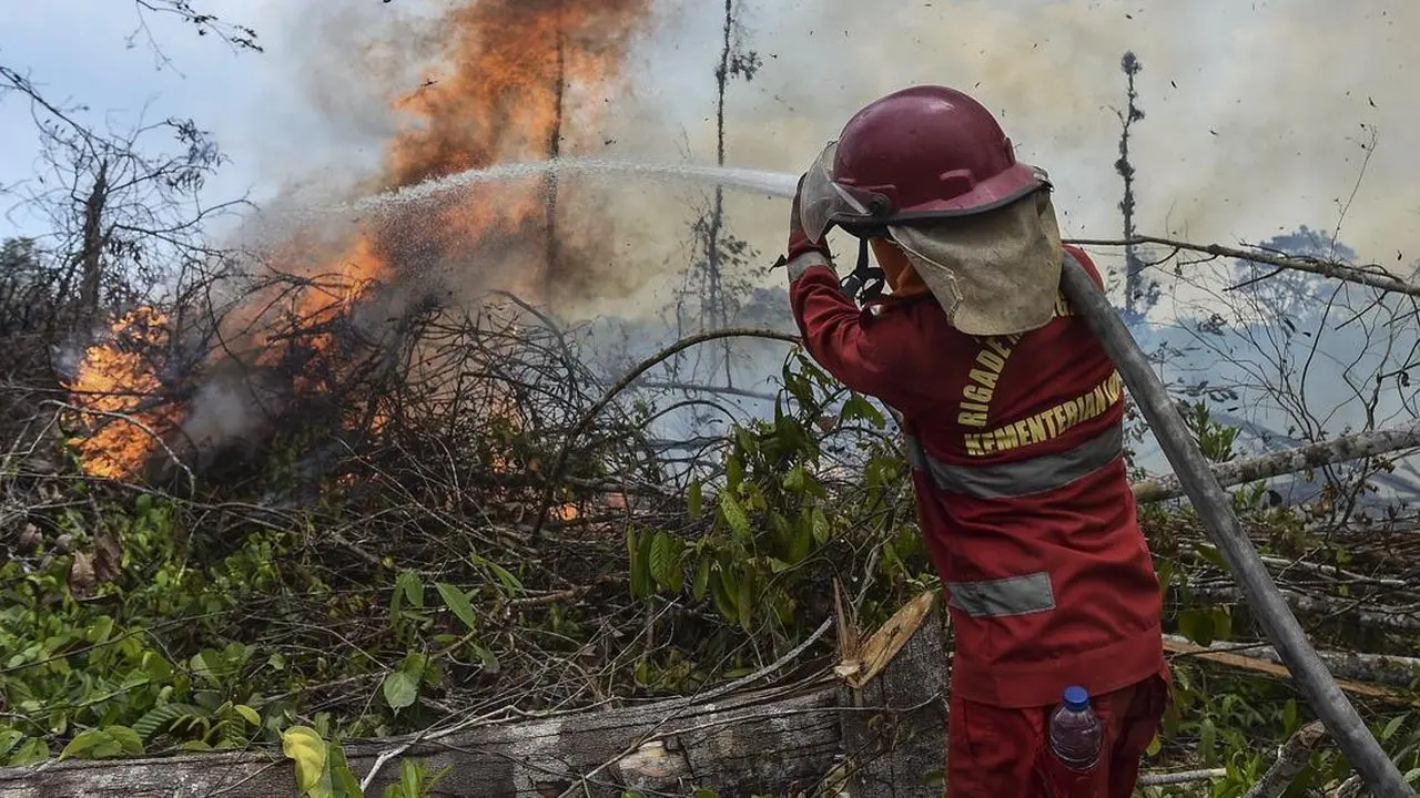 Tantangan Padamkan Karhutla: Kekeringan dan Sulitnya Air Jadi Kendala Utama