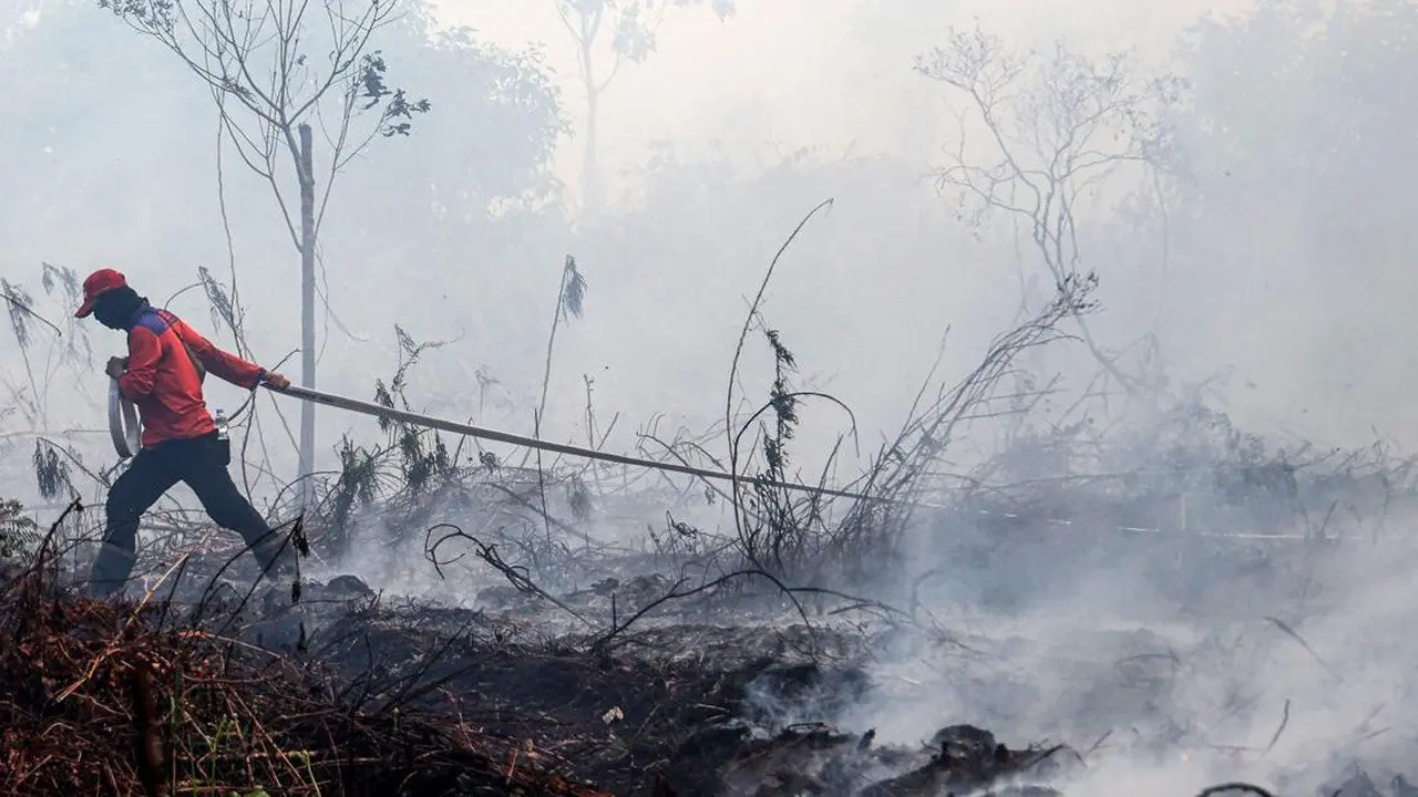 Titik Panas Karhutla di Kalimantan Meningkat, BNPB Perkuat Penanganan