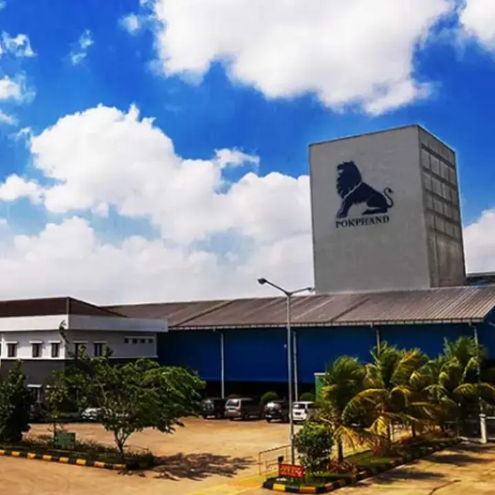 Analisis Pergerakan Saham CPIN, BBCA, BBRI, BUMI dan Harga Emas per 6 September 2026