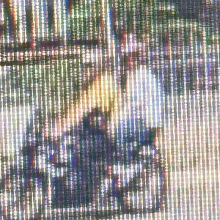 Wanita India Dijambret di Menteng, Satu Pelaku Berhasil Dibekuk Polisi