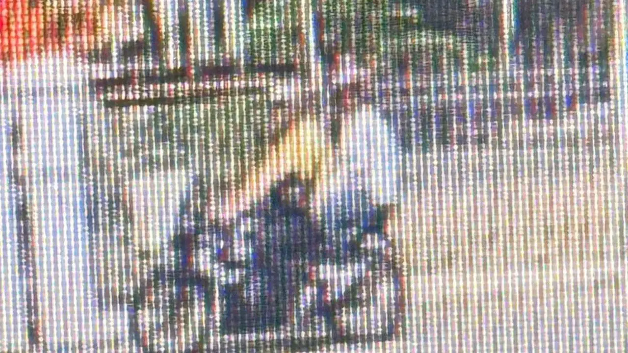 Wanita India Dijambret di Menteng, Satu Pelaku Berhasil Dibekuk Polisi